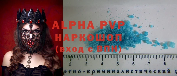 молекула духа Алексин