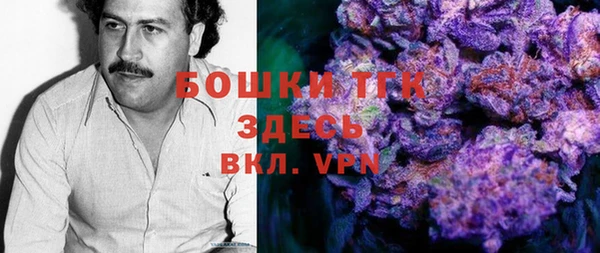 молекула духа Алексин