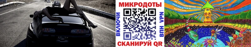 Псилоцибиновые грибы Psilocybine cubensis  Алзамай 