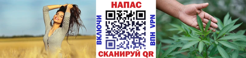 купить наркотики цена Алзамай сайты даркнета официальный сайт МАРИХУАНА тримм